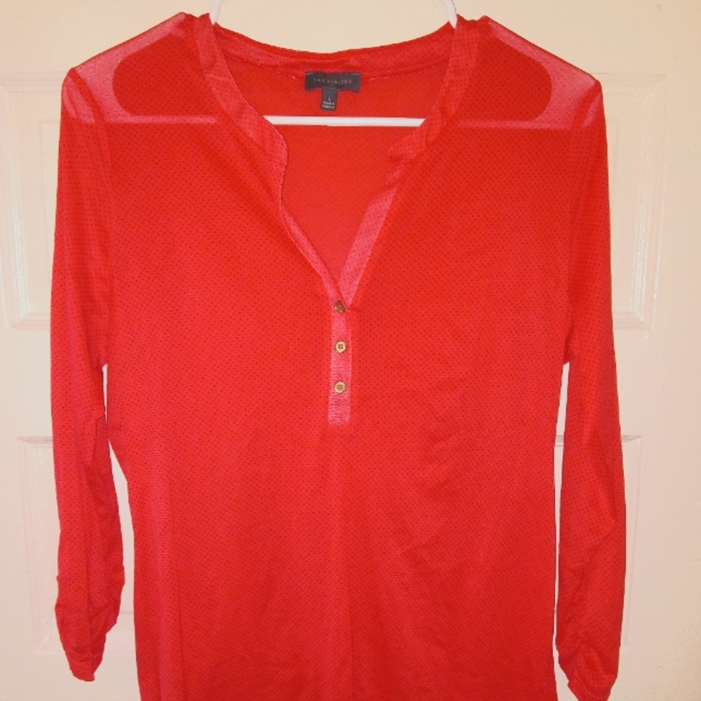 The Limited Ruched Sleeved- Sheer- Blouse 👚